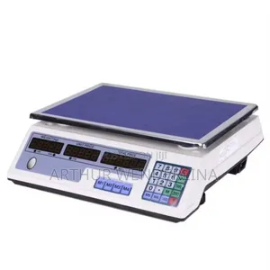 Electronic Price Computing Scale