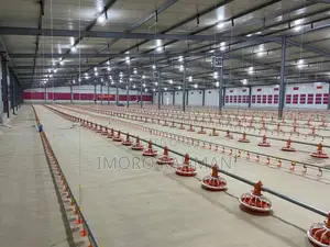 Automated Chicken Feeding and Watering System (New)
