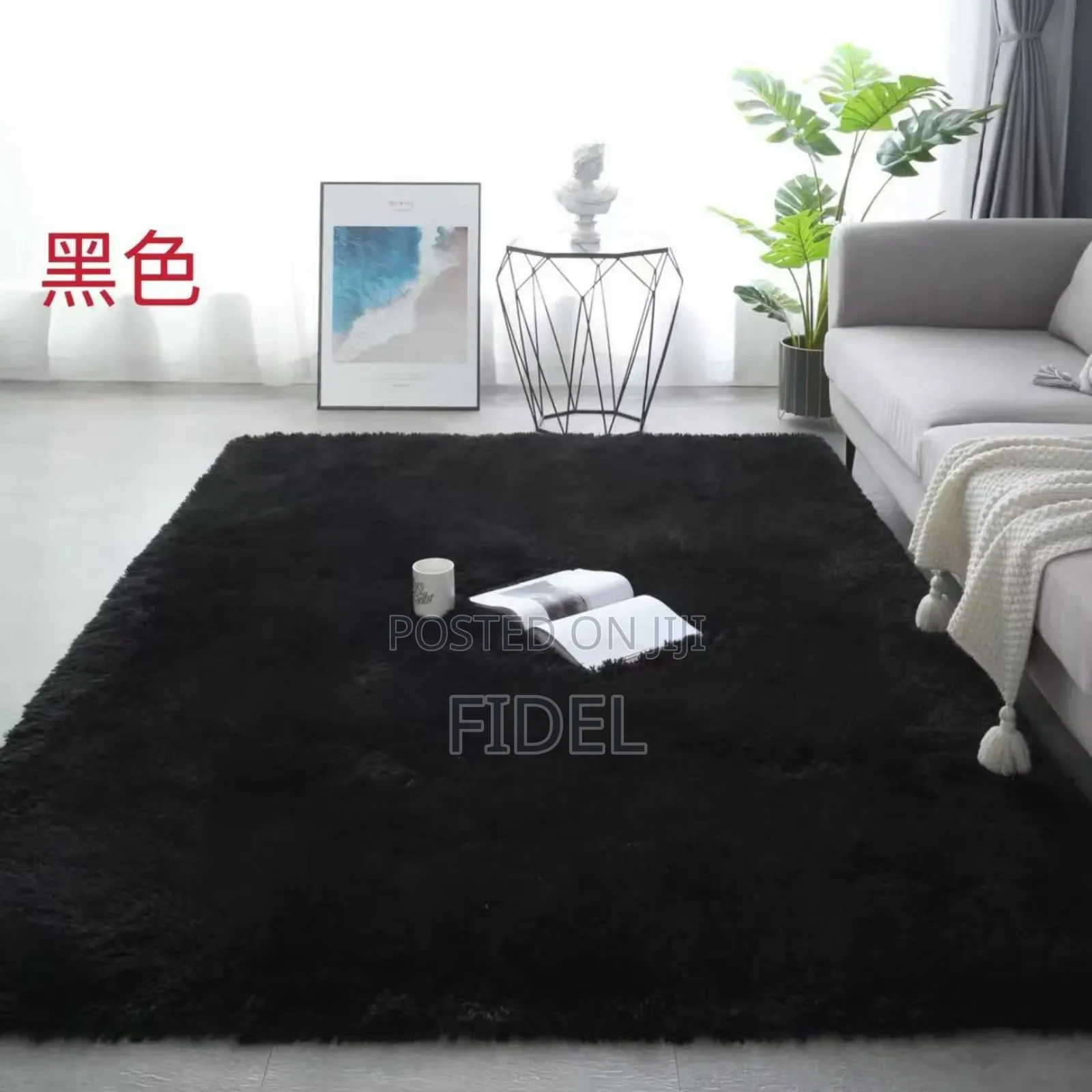 Fluffy Center Carpet