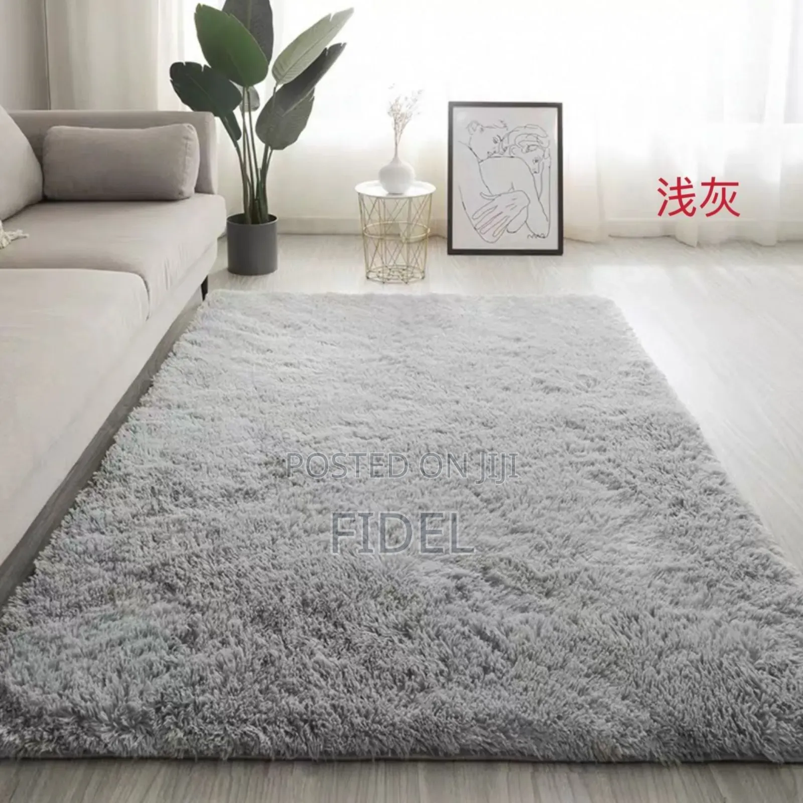 Fluffy Center Carpet