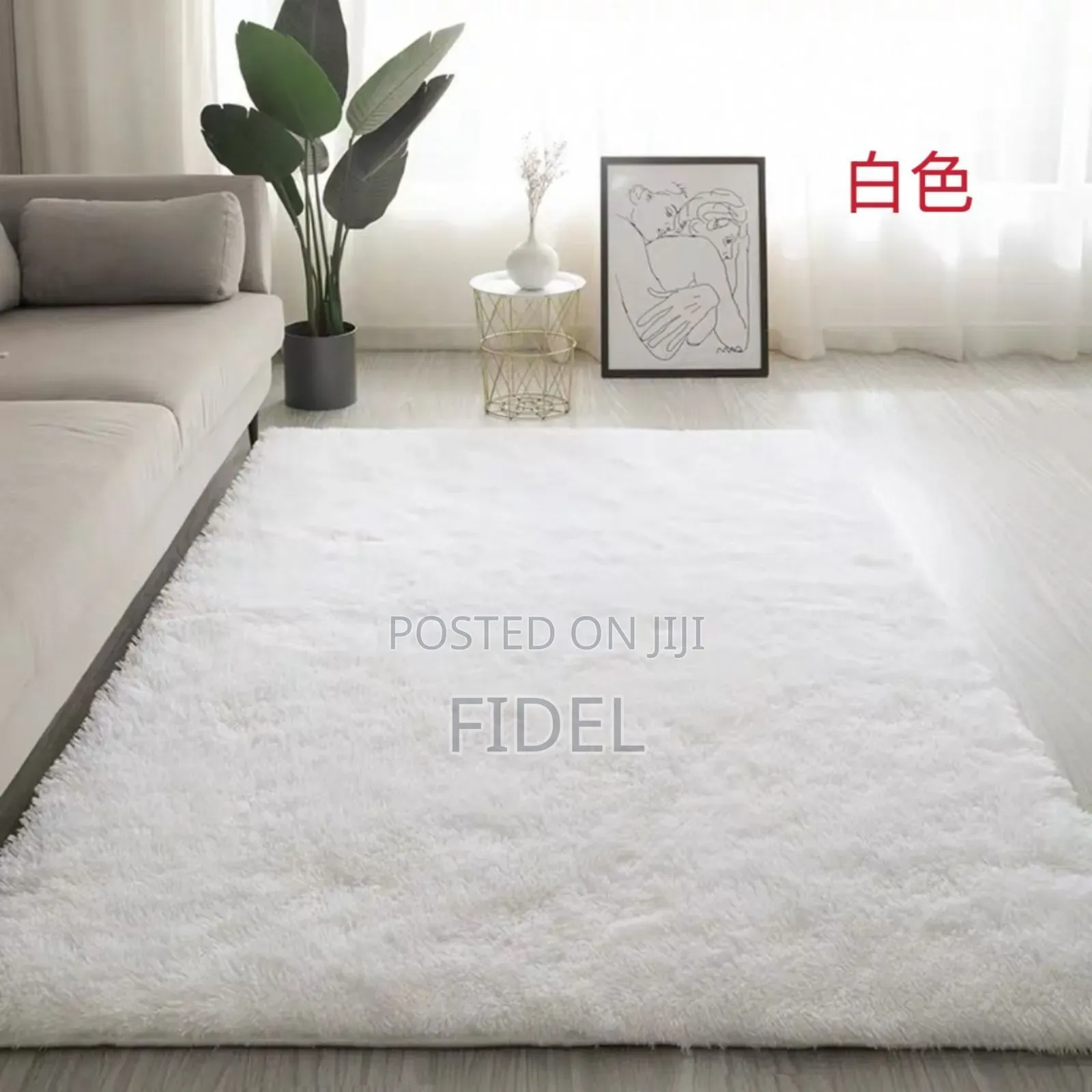 Fluffy Center Carpet