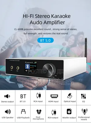 High Quality Mini Amplifier