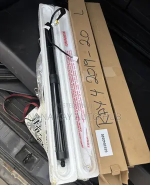 Toyota Rav4 2018,2019,2020 Electronic Boot Shocks Pair