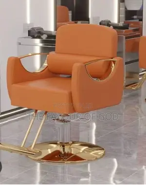 Modern and Classic Saloon Chair