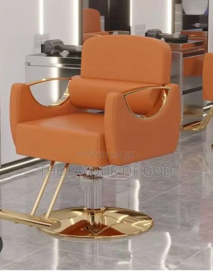 Modern and Classic Saloon Chair