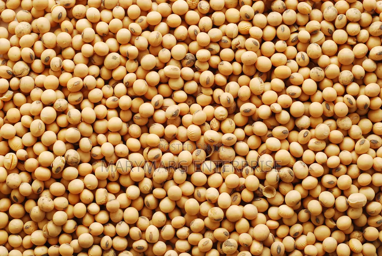 Soya Beans