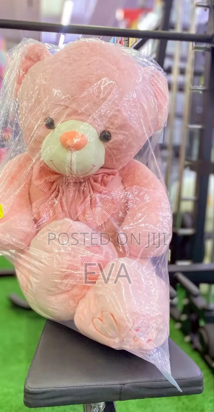 Plush Teddy Bear