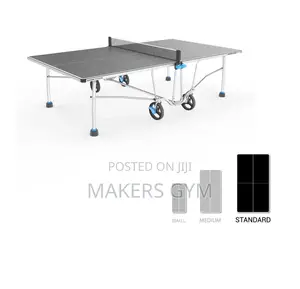 Table Tennis (Profesional)Hybrid
