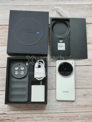 New Vivo X200 Pro 256 GB Silver