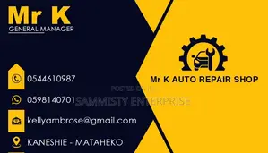 Professional Graphic Designer