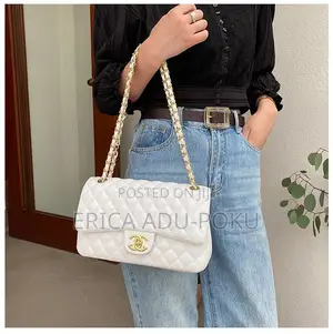 Ladies Handbag