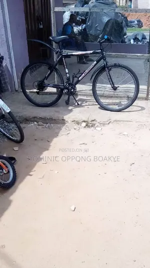 Mountain Bicycle