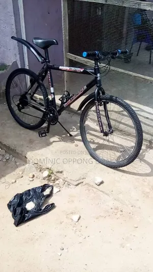 Mountain Bicycle