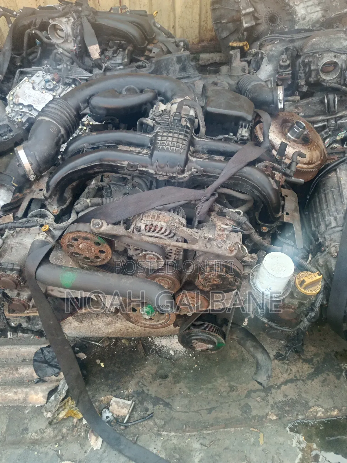 Noah Subaru Motors