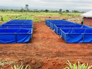 Tank for Fish Farming
