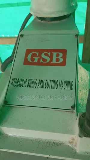 Hydraulic Swing Arm Punching Machine