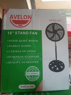 Standing Fan