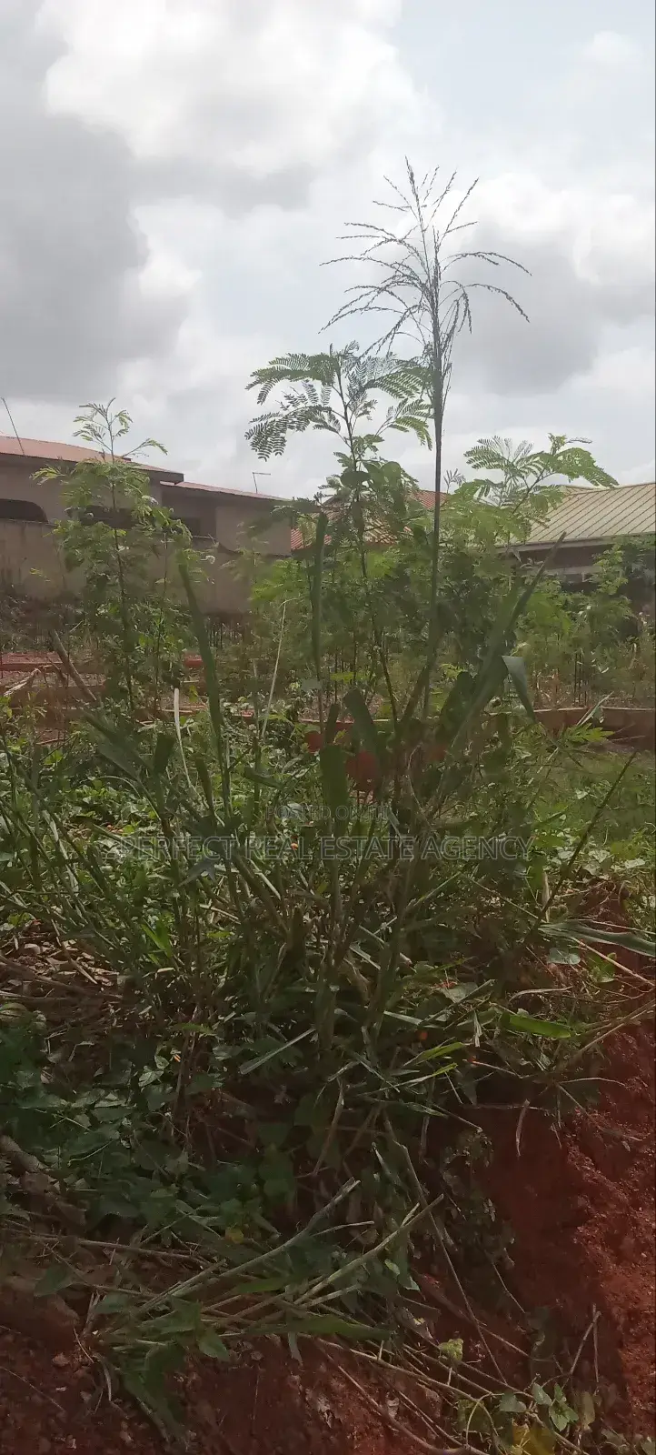 Land for Sale at Kokoben
