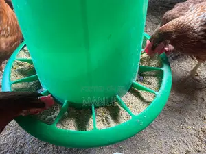 Affordable Layer Mash