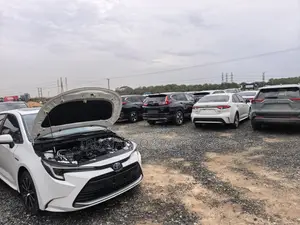 Toyota Corolla LE 2023 White