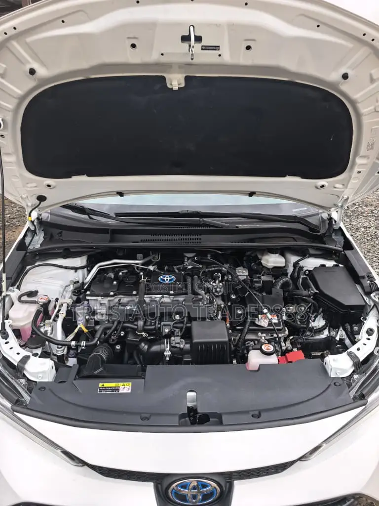 Toyota Corolla LE 2023 White