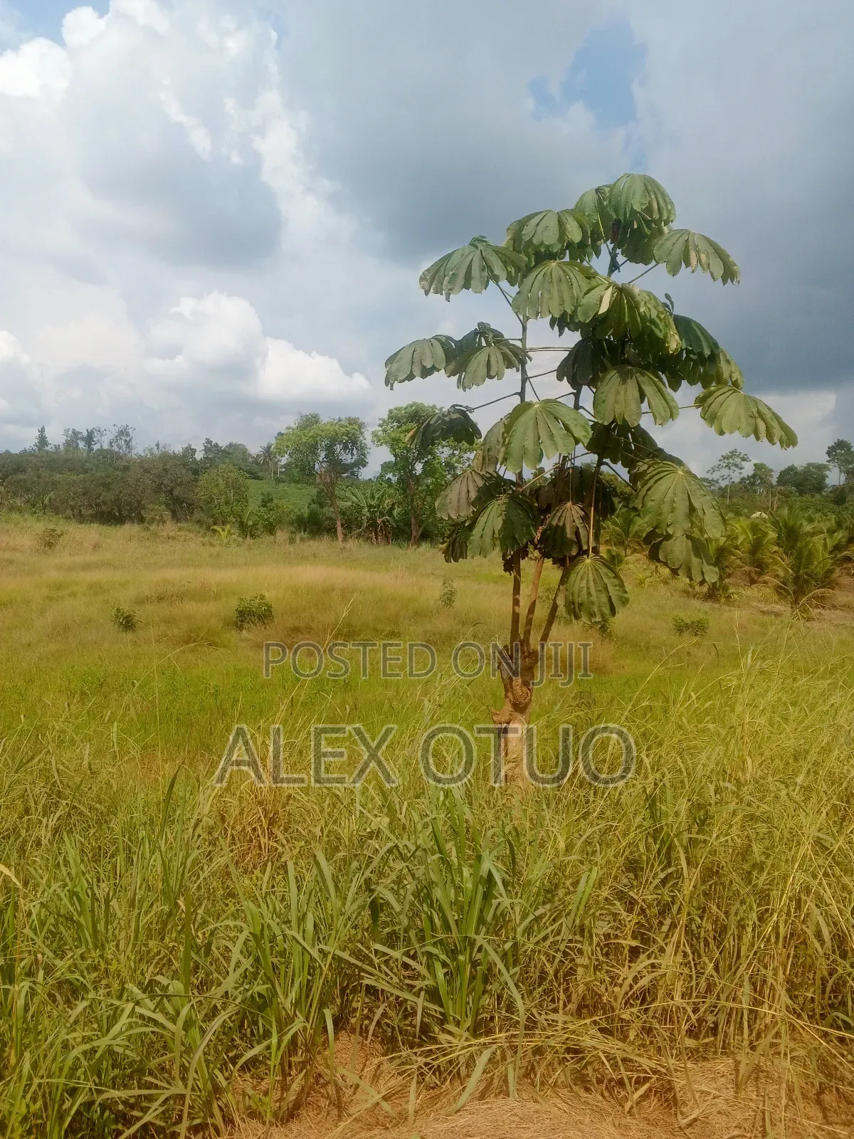 Four Plot of Land Nfensi Off Sunyani Road