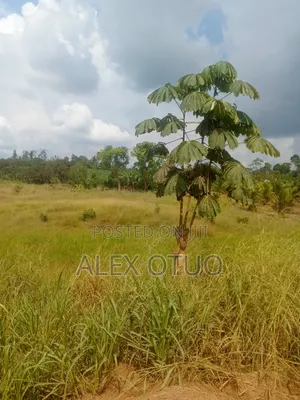 Four Plot of Land Nfensi Off Sunyani Road