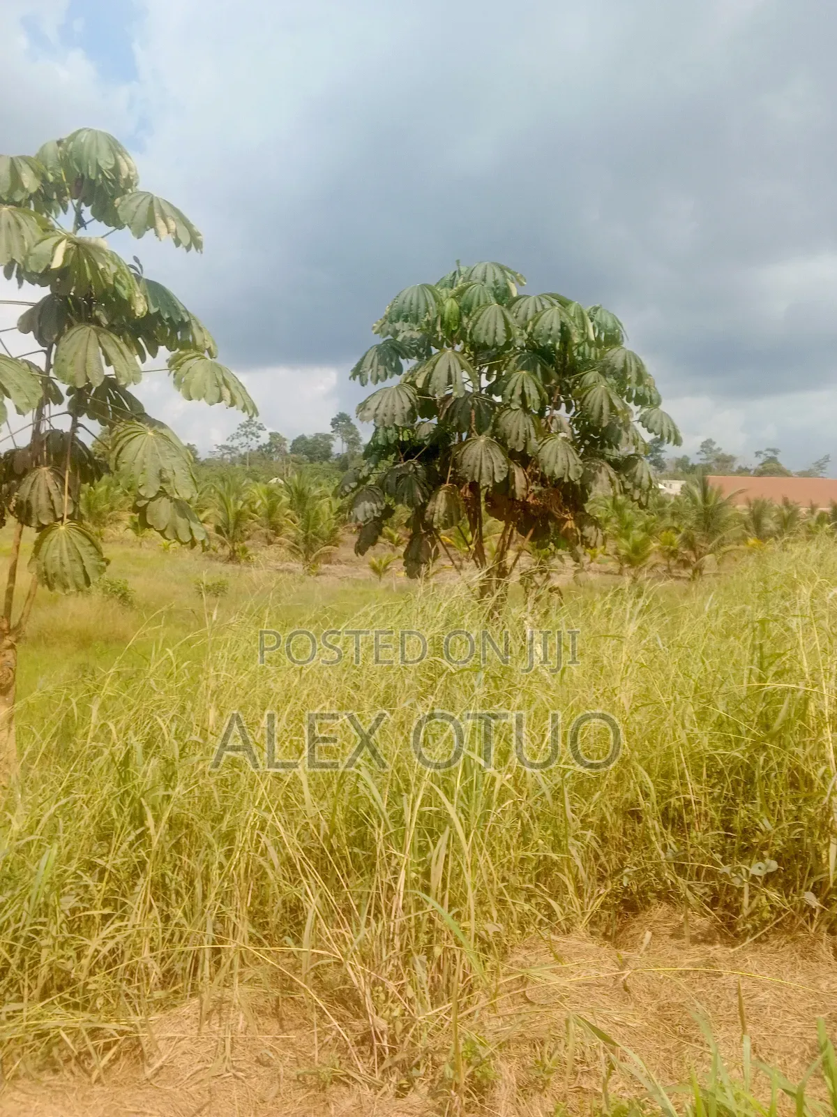 Four Plot of Land Nfensi Off Sunyani Road