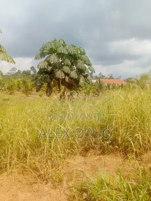 Four Plot of Land Nfensi Off Sunyani Road