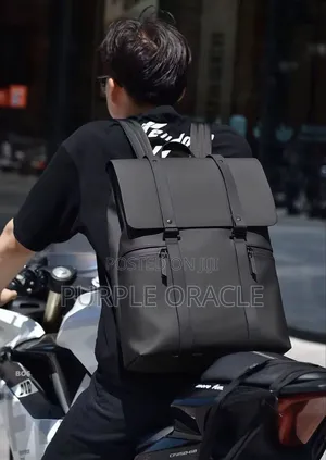 Mark Ryden Business Backpack.