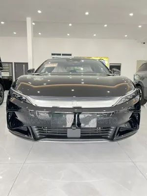 New BYD E1 2025 Black