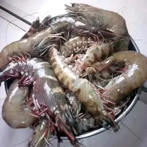 Assorted Sea Food