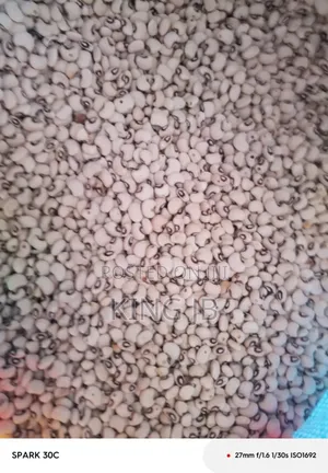 Ghanaian Local Beans