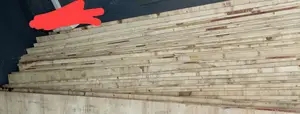 Plywood 1/8 (4ft X 8ft)