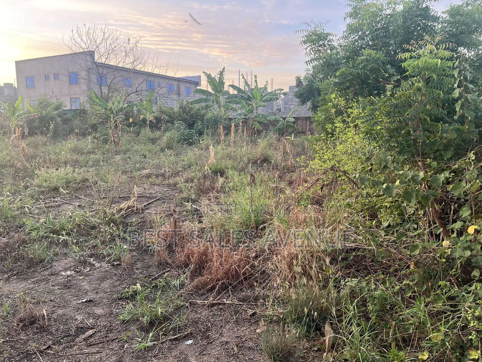 2 N Half Plot for Sale at Tema Com 25 5 Mins Drives From the Motorway