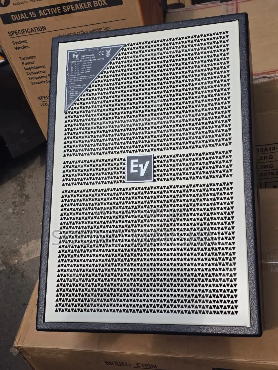 Ev Stage Monitor Passive