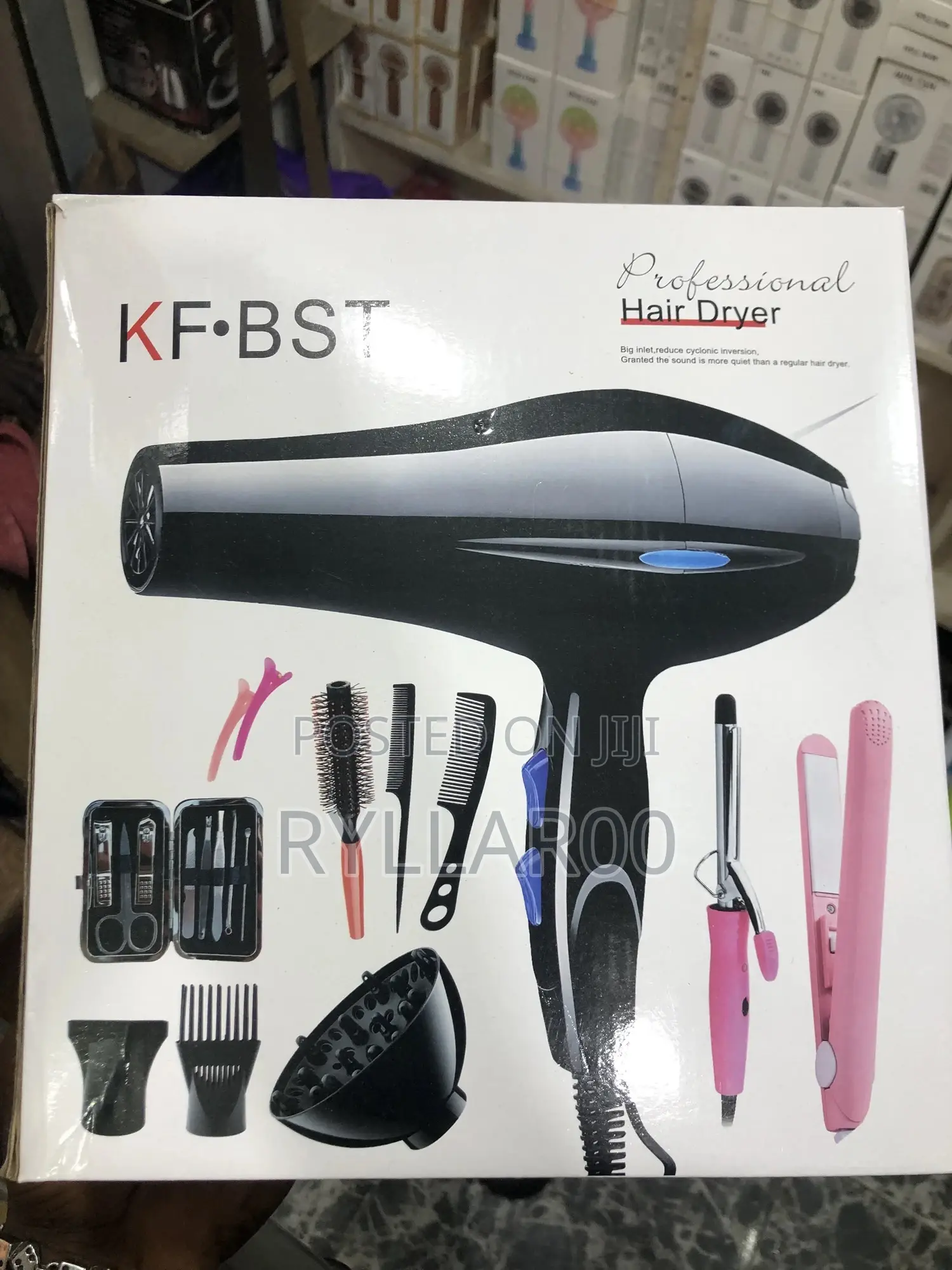 Professional Hair Dryer With Accessories
