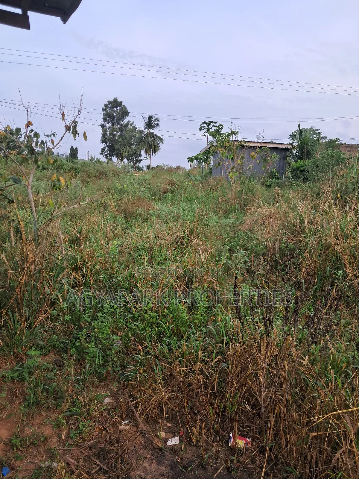 Roadside Land for Sale at Amasaman Obom