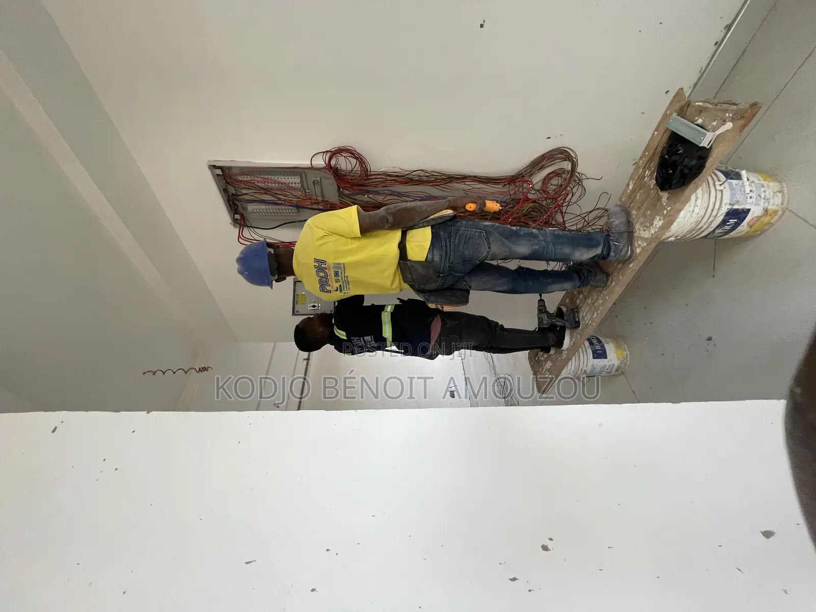 Professional Electrician