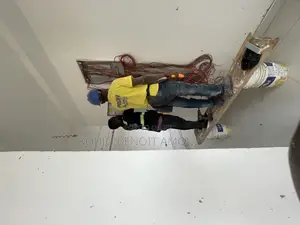 Professional Electrician