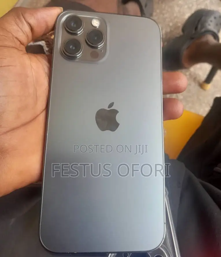 Apple iPhone 12 Pro Max 256 GB Gray