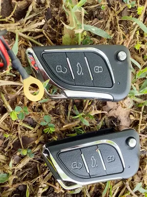 Car Alarm Systems With Stylish Flip Keys