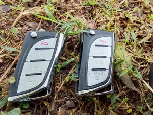 Car Security Alarm With Remote Keys