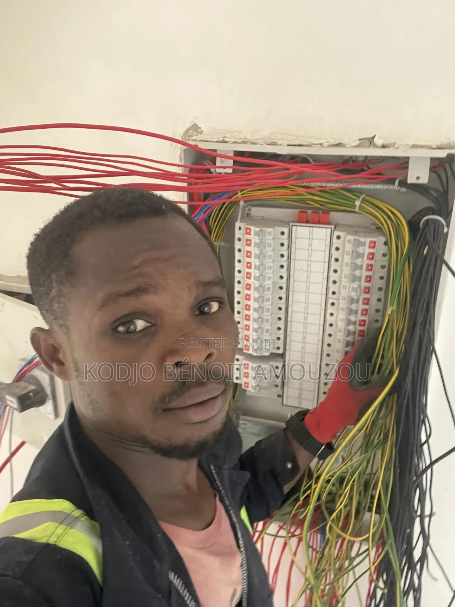 Professional Electrician