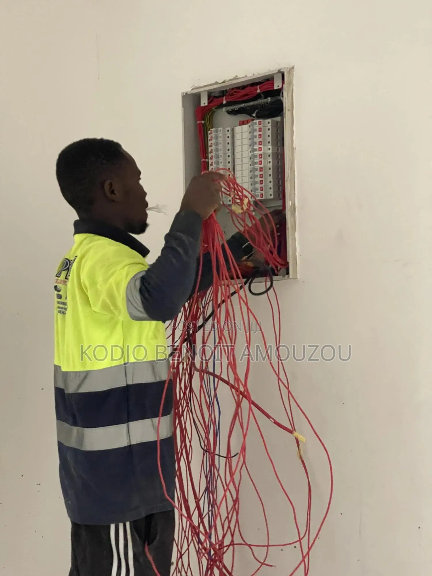 Professional Electrician