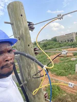 Professional Electrician