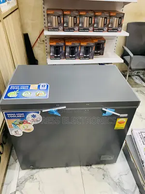 Shop From 10gig Store Nasco-Nas300 Nasco Freezer 250ltr Net Silver