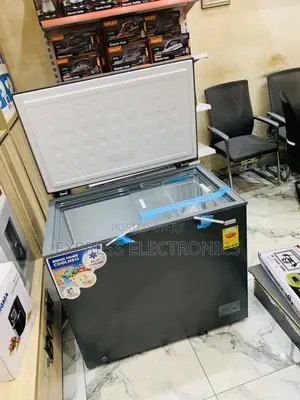 Best at 10gig Store Nasco-Nas300 Nasco Freezer 250ltr Net Silver