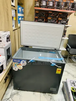 Spectacular Performance Nasco-Nas300 Nasco Freezer 250ltr Net Silver