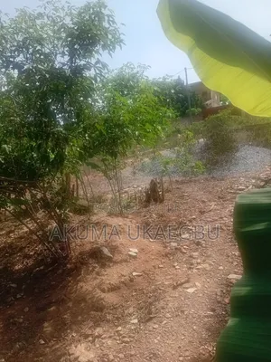 Titled Plot of Land for Sale